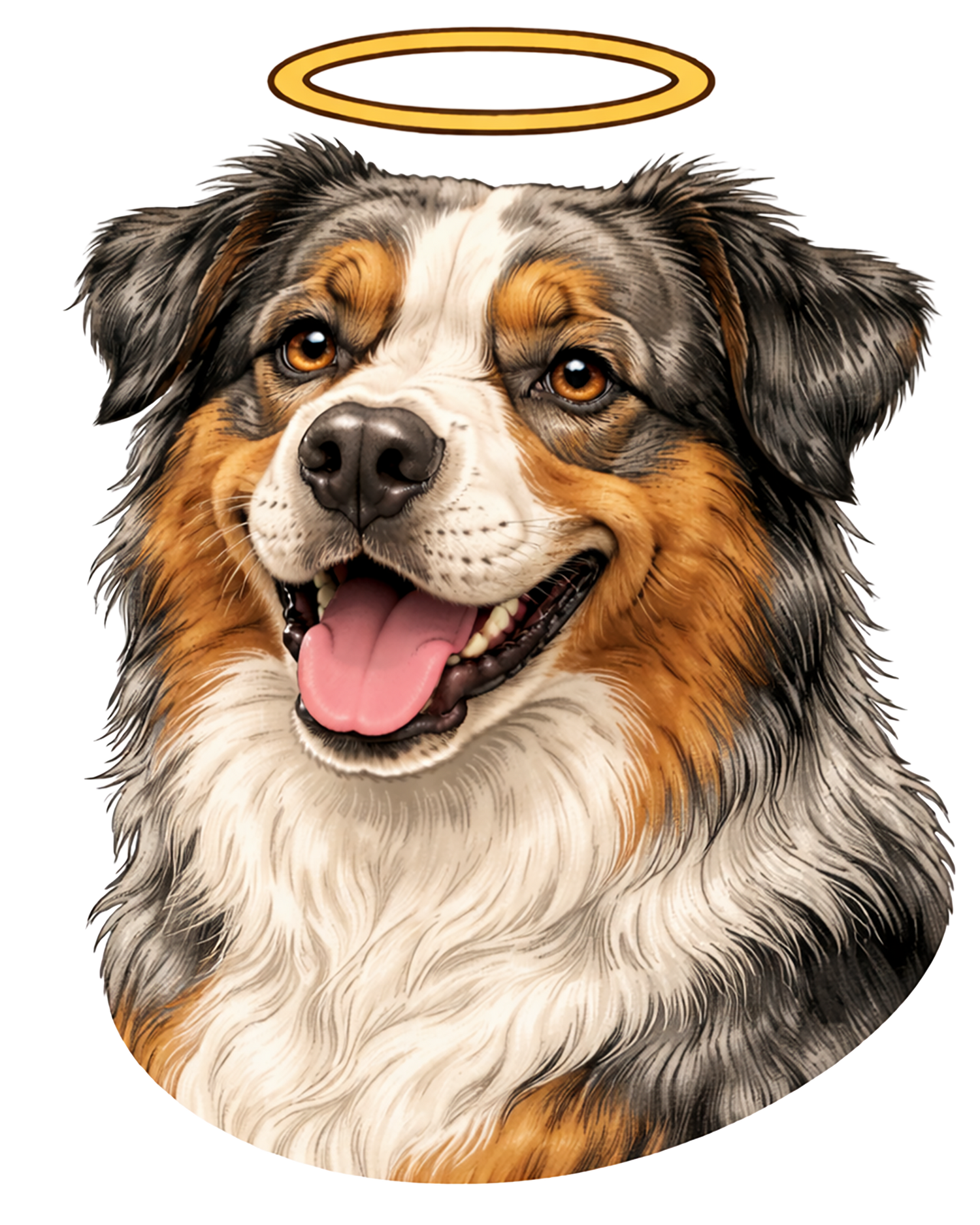 Australian Shepherd