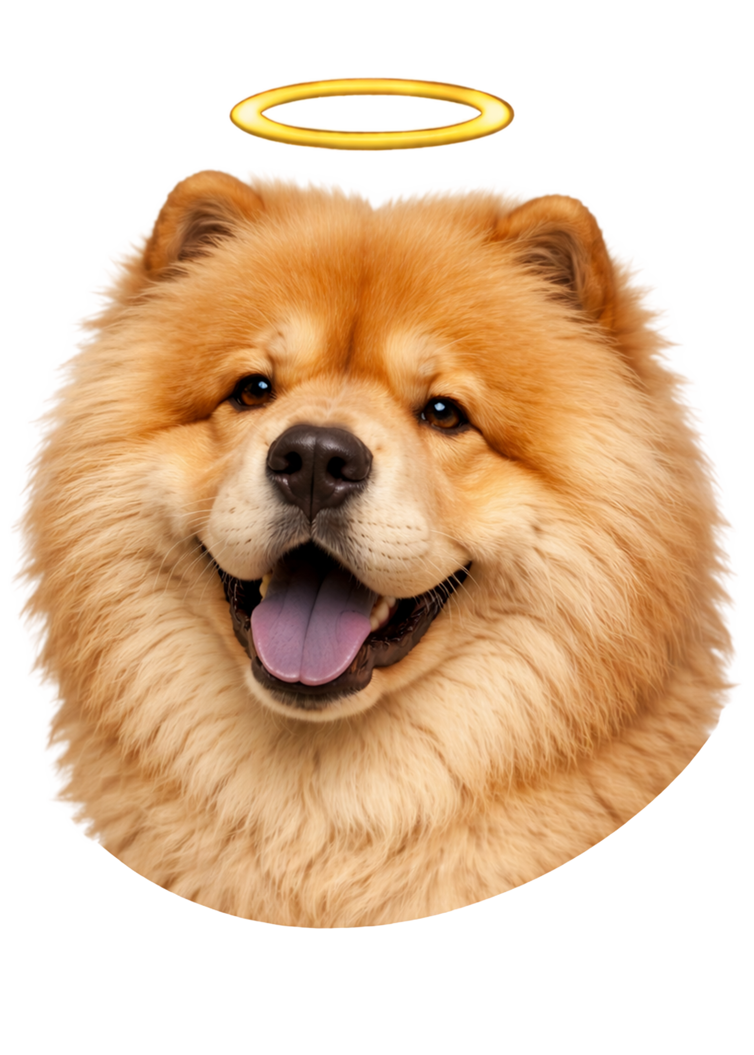 Chow Chow